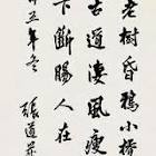 A miracle of translation – randomaedchen