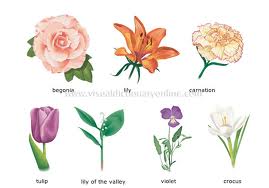Learn flower names in Mandarin Chinese, how to say - I like peach